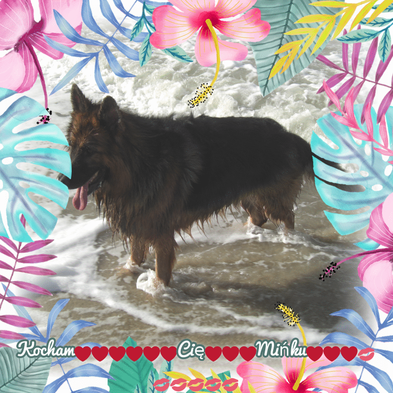 Condolence image of Dzień Dobry❤️❤️❤️mój Ukochany❤️❤️❤️❤️❤️❤️❤️Misieńku❤️❤️❤️