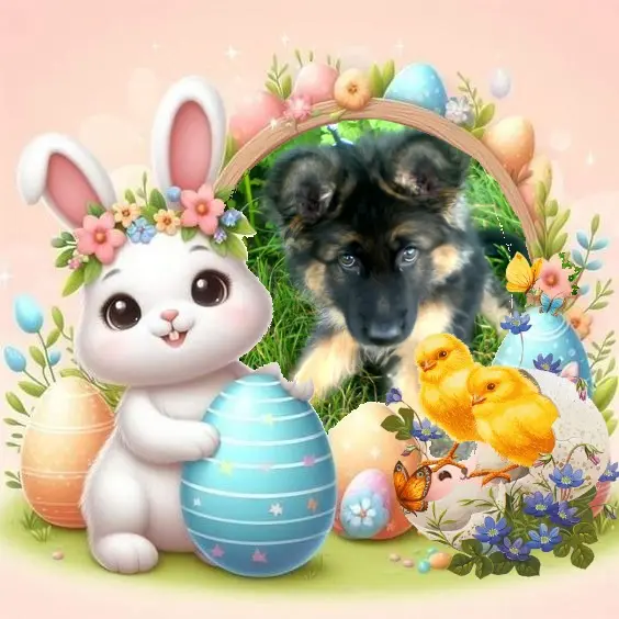 Condolence image of Dzień Dobry❤️❤️❤️mój Ukochany❤️❤️❤️❤️❤️❤️❤️Misieńku❤️❤️❤️