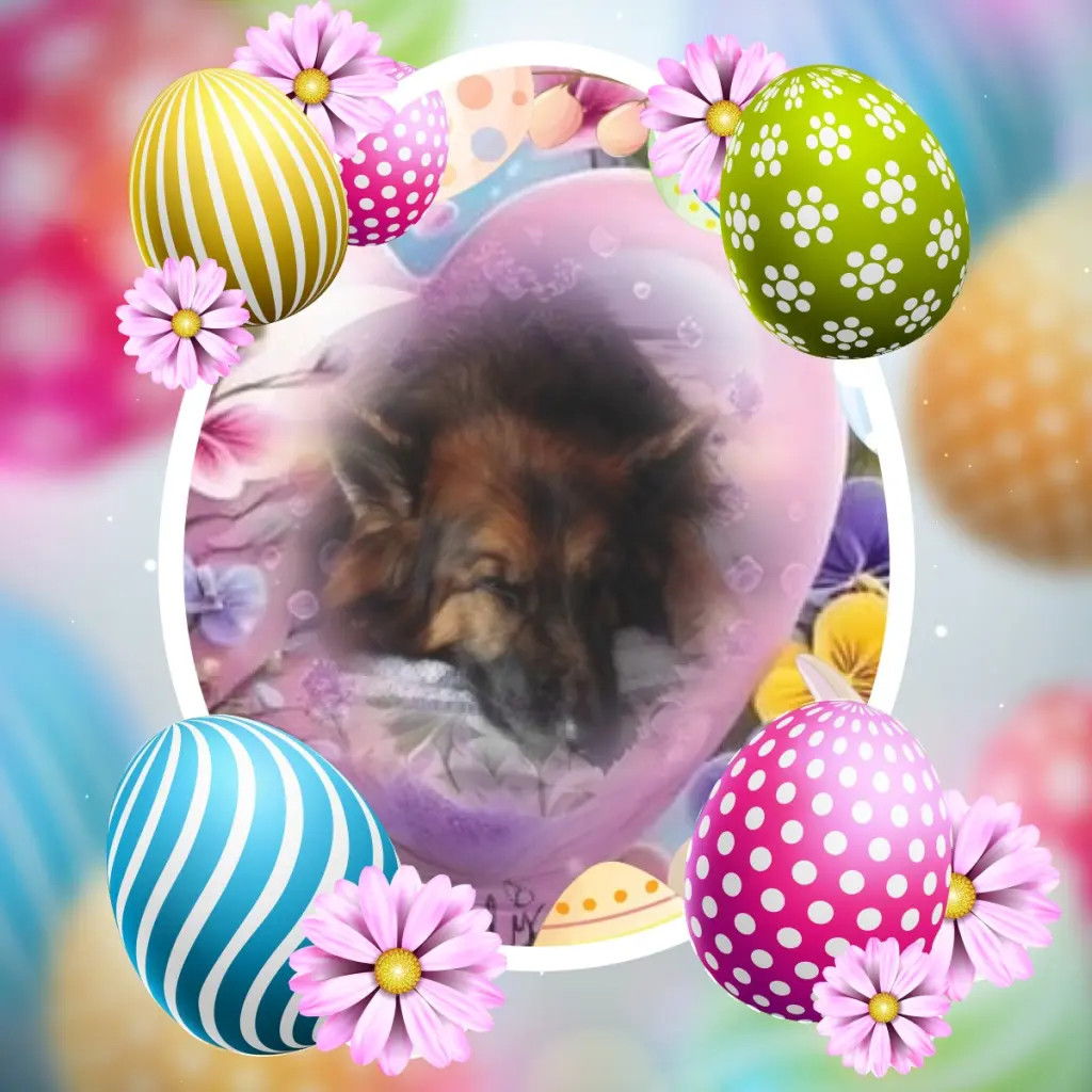 Condolence image of Dobrej Nocki❤️❤️❤️❤️❤️❤️mój Ukochany❤️❤️❤️❤️❤️❤️Misieńku❤️❤️❤️