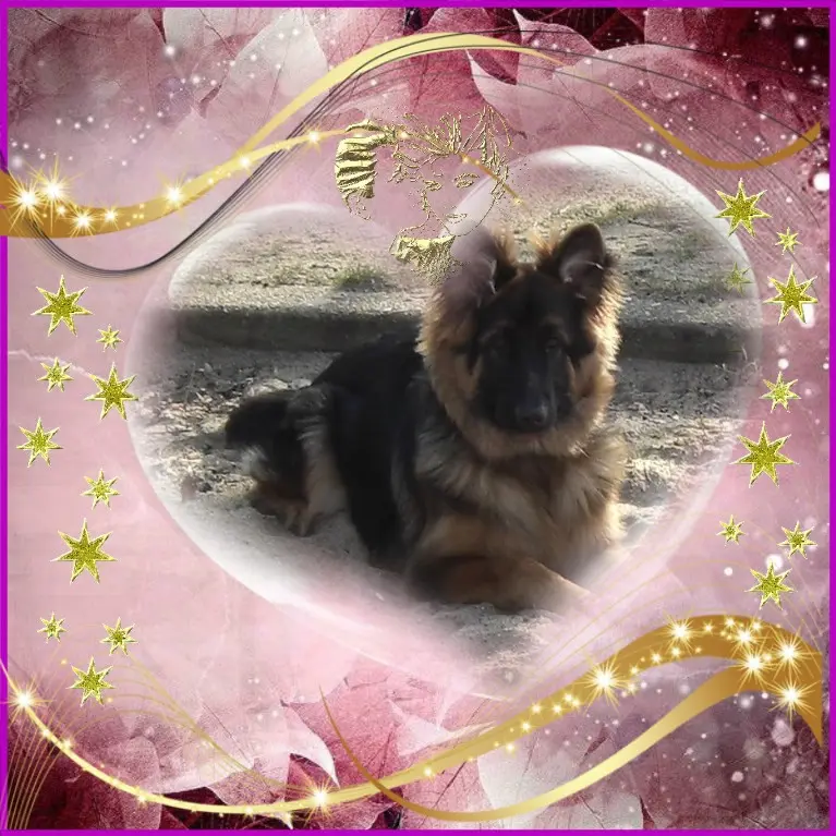 Condolence image of Kocham❤️❤️❤️❤️❤️❤️Cię❤️❤️❤️⭐️Misiu❤️❤️❤️⭐️