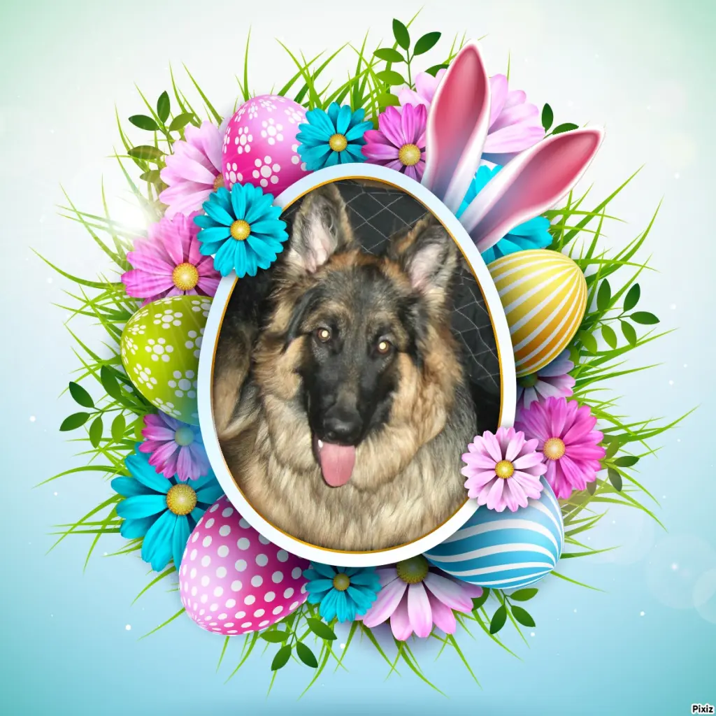 Condolence image of Tanja mit Timmy im Herzen