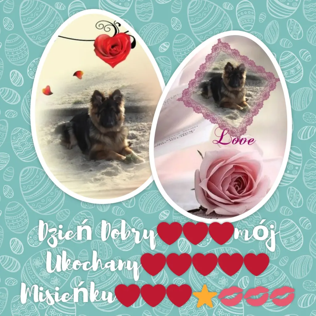 Condolence image of Dzień Dobry❤️❤️❤️mój Ukochany❤️❤️❤️❤️❤️❤️❤️Misieńku❤️❤️❤️