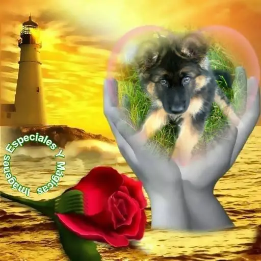 Condolence image of Dzień Dobry❤️❤️❤️mój Ukochany❤️❤️❤️❤️❤️❤️❤️Misieńku❤️❤️❤️