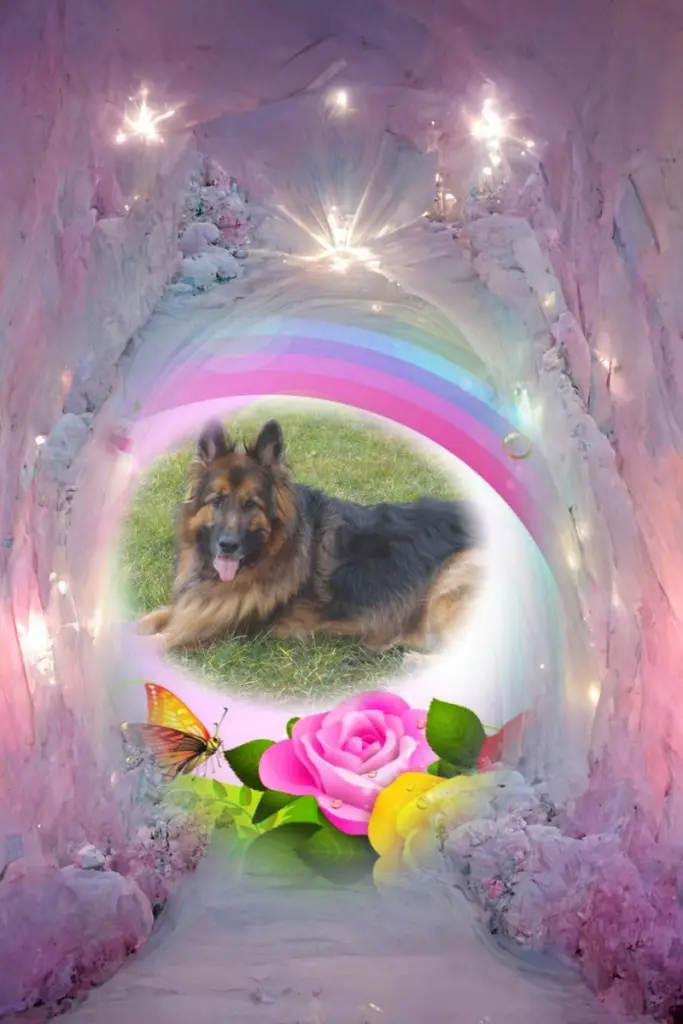 Condolence image of Dobry Wieczór❤️❤️❤️Mińku❤️❤️❤️