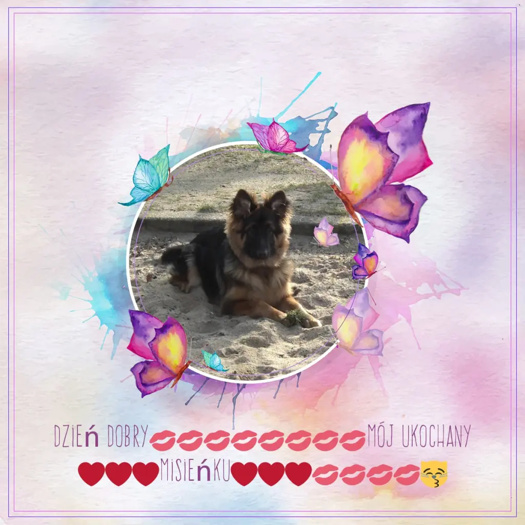 Condolence image of Dzień Dobry❤️❤️❤️mój Ukochany❤️❤️❤️❤️❤️❤️❤️Misieńku❤️❤️❤️