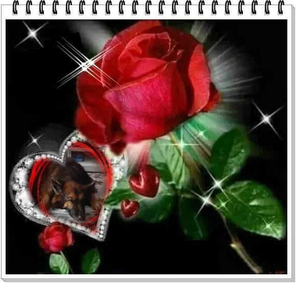 Condolence image of Dobrej Nocki❤️❤️❤️❤️❤️❤️mój Ukochany❤️❤️❤️❤️❤️❤️Misieńku❤️❤️❤️