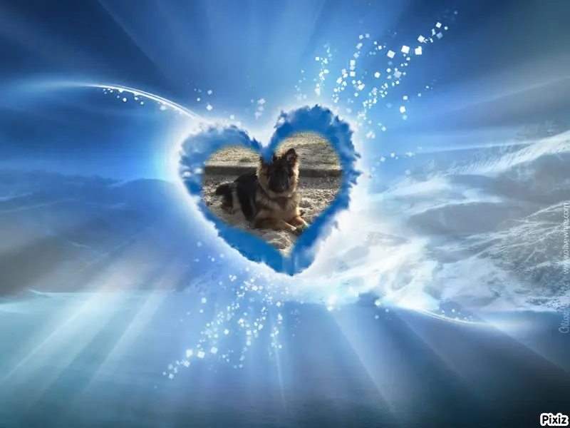 Condolence image of Dzień Dobry❤️❤️❤️mój Ukochany❤️❤️❤️❤️❤️❤️❤️Misieńku❤️❤️❤️