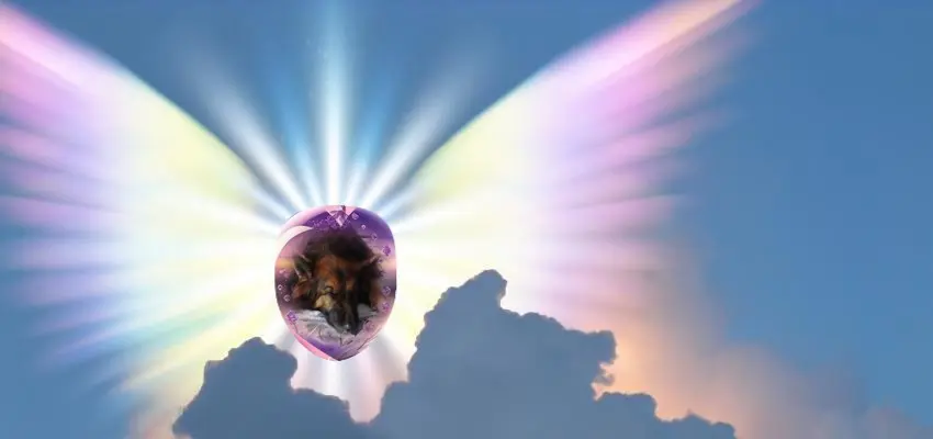 Condolence image of Dobrej Nocki❤️❤️❤️❤️❤️❤️mój Ukochany❤️❤️❤️❤️❤️❤️Misieńku❤️❤️❤️