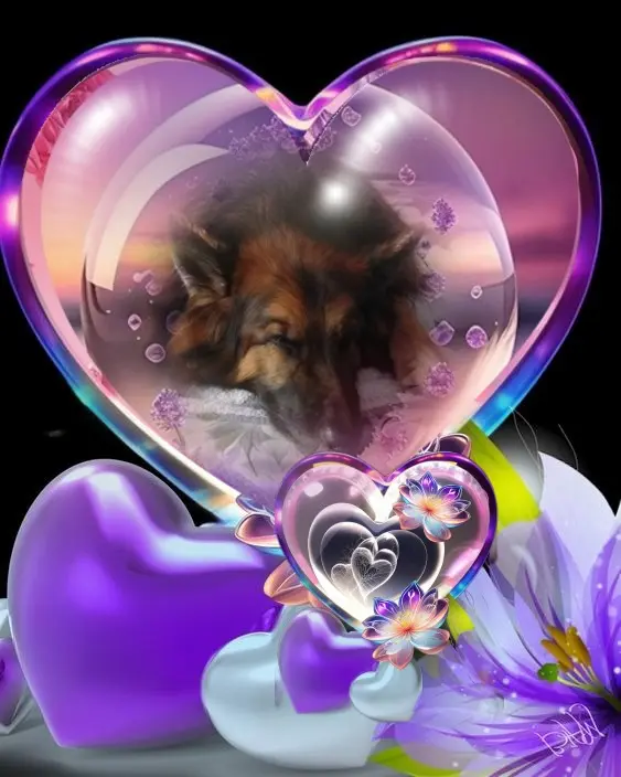 Condolence image of Dobrej Nocki❤️❤️❤️❤️❤️❤️mój Ukochany❤️❤️❤️❤️❤️❤️Misieńku❤️❤️❤️