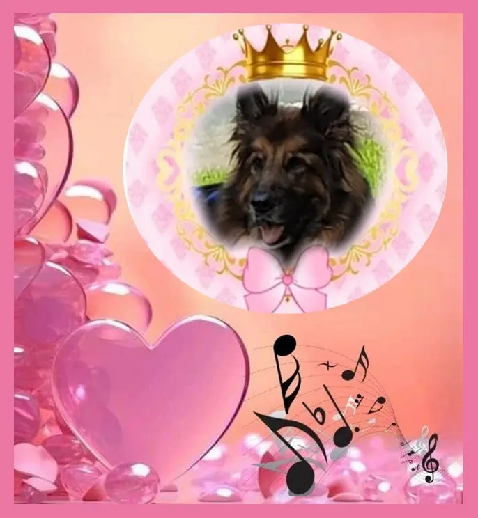 Condolence image of Dzień Dobry❤️❤️❤️mój Ukochany❤️❤️❤️❤️❤️❤️❤️Misieńku❤️❤️❤️