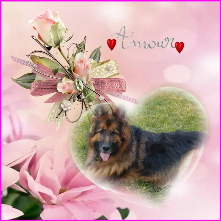 Condolence image of Dzień Dobry❤️❤️❤️mój Ukochany❤️❤️❤️❤️❤️❤️❤️Misieńku❤️❤️❤️