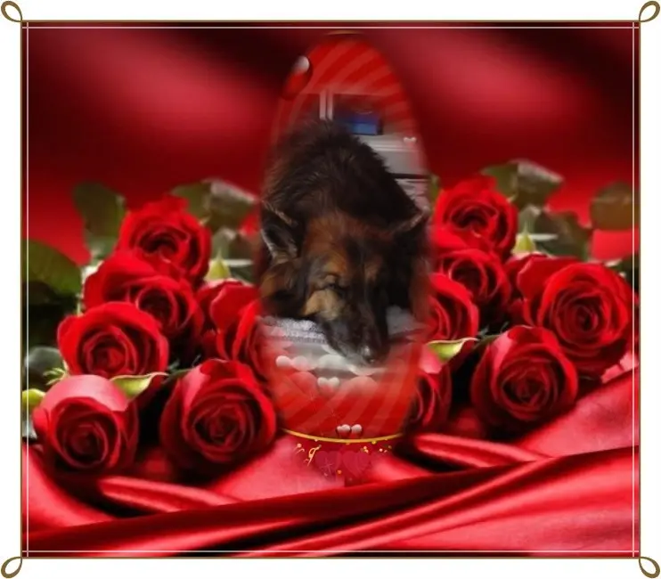 Condolence image of Dobrej Nocki❤️❤️❤️❤️❤️❤️mój Ukochany❤️❤️❤️❤️❤️❤️Misieńku❤️❤️❤️