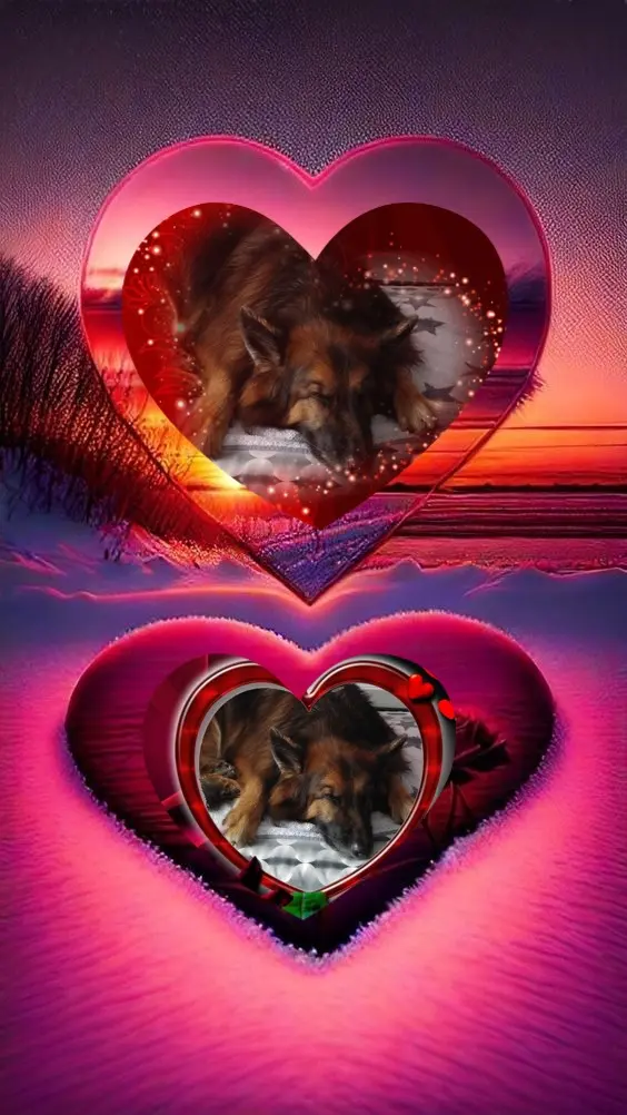 Condolence image of Dobrej Nocki❤️❤️❤️❤️❤️❤️mój Ukochany❤️❤️❤️❤️❤️❤️Misieńku❤️❤️❤️