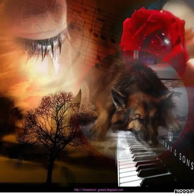 Condolence image of Dobrej Nocki❤️❤️❤️mój Ukochany❤️❤️❤️❤️❤️❤️❤️❤️❤️Misieńku❤️❤️❤️⭐️