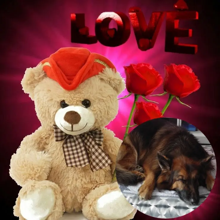 Condolence image of Dobrej Nocki❤️❤️❤️❤️❤️❤️mój Ukochany❤️❤️❤️❤️❤️❤️Misieńku❤️❤️❤️