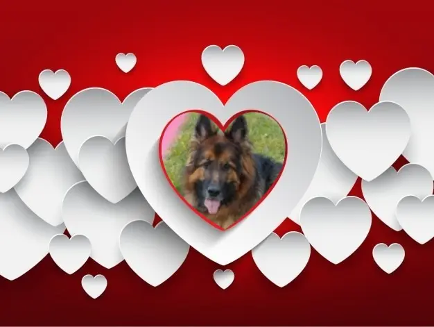 Condolence image of Dzień Dobry❤️❤️❤️mój Ukochany❤️❤️❤️❤️❤️❤️❤️Misieńku❤️❤️❤️