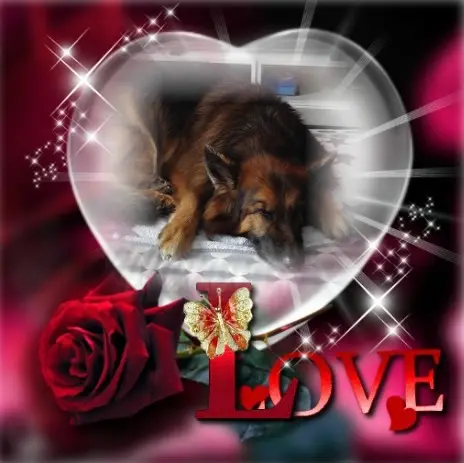 Condolence image of Dobrej Nocki❤️❤️❤️❤️❤️❤️mój Ukochany❤️❤️❤️❤️❤️❤️Misieńku❤️❤️❤️