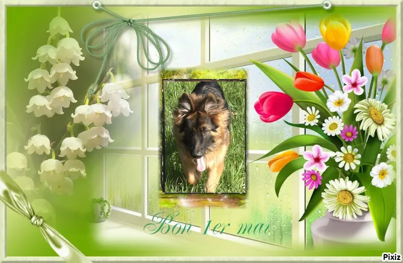 Condolence image of Dzień Dobry❤️❤️❤️mój Ukochany❤️❤️❤️❤️❤️❤️❤️Misieńku❤️❤️❤️