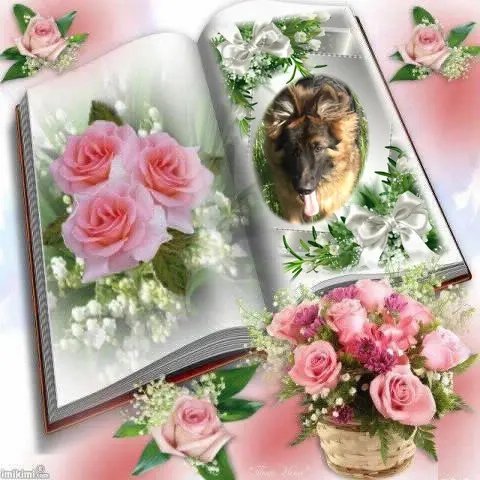 Condolence image of Kocham❤️❤️❤️❤️❤️❤️❤️❤️❤️Cię❤️❤️❤️⭐️