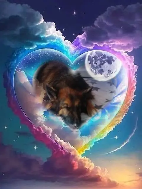 Condolence image of Dobrej Nocki❤️❤️❤️❤️❤️❤️mój Ukochany❤️❤️❤️❤️❤️❤️Misieńku❤️❤️❤️