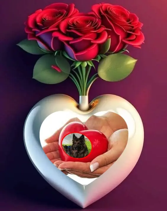 Condolence image of Dzień Dobry❤️❤️❤️mój Ukochany❤️❤️❤️❤️❤️❤️❤️Misieńku❤️❤️❤️
