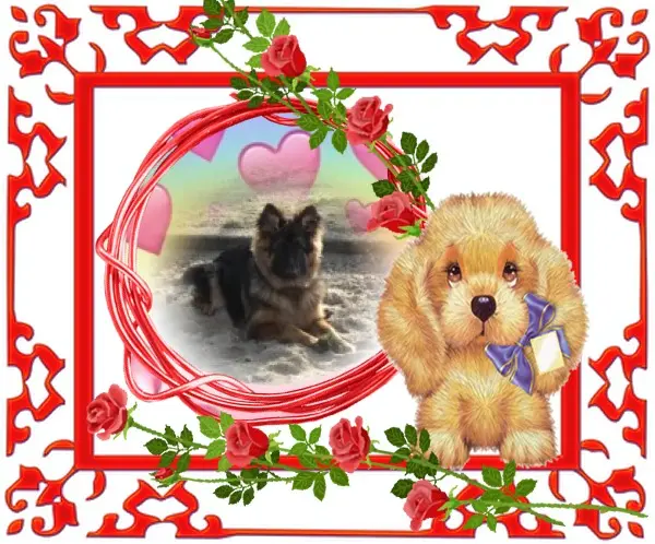 Condolence image of Dzień Dobry❤️❤️❤️mój Ukochany❤️❤️❤️❤️❤️❤️❤️Misieńku❤️❤️❤️