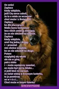 Condolence image of Misieńku❤️❤️❤️⭐️