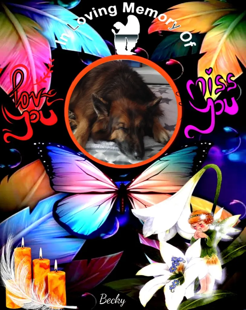 Condolence image of Dobrej Nocki❤️❤️❤️❤️❤️❤️mój Ukochany❤️❤️❤️❤️❤️❤️Misieńku❤️❤️❤️