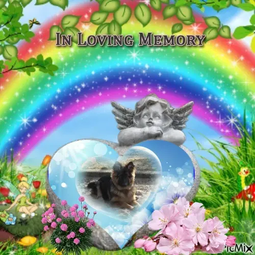 Condolence image of Kocham❤️❤️❤️❤️❤️❤️❤️❤️❤️❤️❤️❤️Cię❤️❤️❤️⭐️Misieńku❤️❤️❤️⭐️