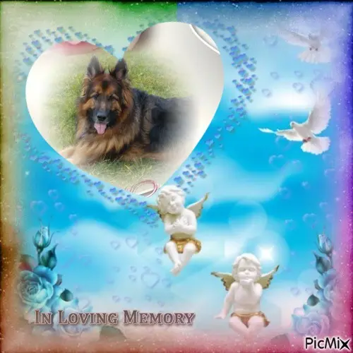 Condolence image of 6.Lat.....Bez Ciebie❤️❤️❤️⭐️mój UKOCHANY❤️❤️❤️❤️❤️❤️❤️❤️MISIEŃKU❤️❤️❤️⭐️