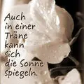 Condolence image of Evelyn mit Nele, Lara und Fleckchen im Herzen