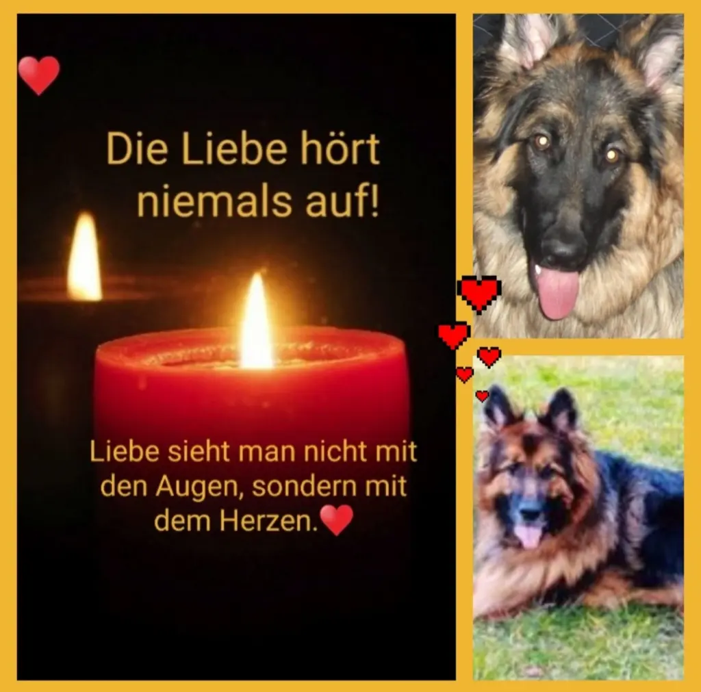Condolence image of Birgit