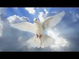 Condolence image of Elisabeth mit Marple, Christie u. Arafat im ♥