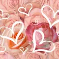Condolence image of Anja mit Maja & Gräuli im  ༺❤️༻