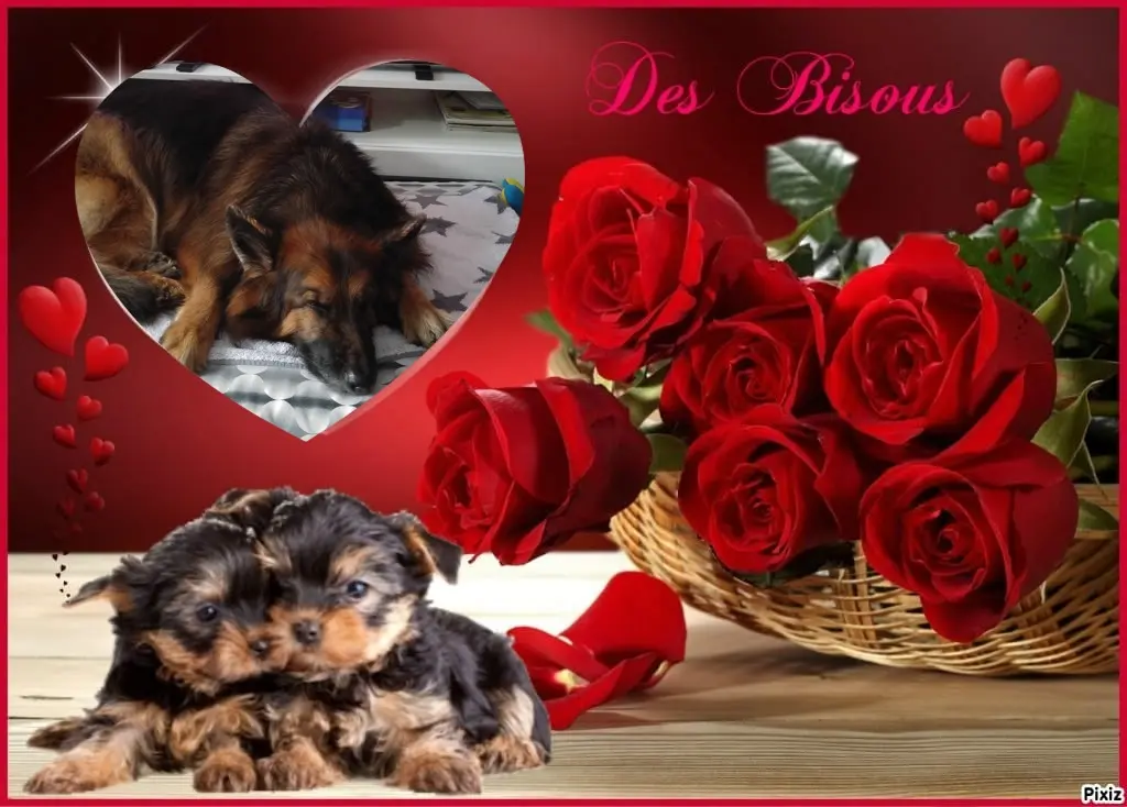 Condolence image of Dobrej Nocki❤️❤️❤️❤️❤️❤️mój Ukochany❤️❤️❤️❤️❤️❤️Misieńku❤️❤️❤️