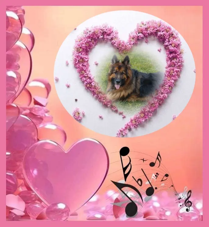 Condolence image of Dzień Dobry❤️❤️❤️mój Ukochany❤️❤️❤️❤️❤️❤️❤️Misieńku❤️❤️❤️