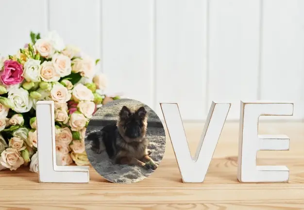 Condolence image of Dzień Dobry❤️❤️❤️mój Ukochany❤️❤️❤️❤️❤️❤️❤️Misieńku❤️❤️❤️