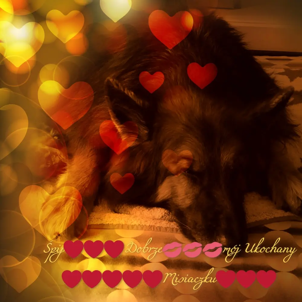 Condolence image of Dobrej Nocki❤️❤️❤️❤️❤️❤️mój Ukochany❤️❤️❤️❤️❤️❤️Misieńku❤️❤️❤️