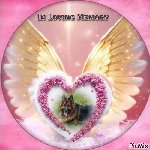 Condolence image of Dzień Dobry❤️❤️❤️mój Ukochany❤️❤️❤️❤️❤️❤️❤️Misieńku❤️❤️❤️