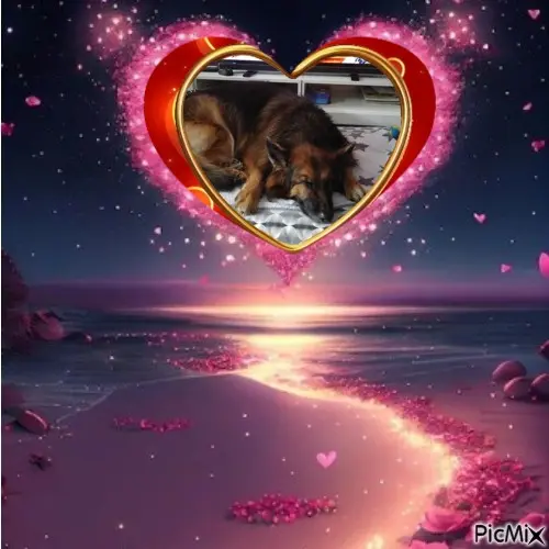 Condolence image of Dobrej Nocki❤️❤️❤️❤️❤️❤️mój Ukochany❤️❤️❤️❤️❤️❤️Misieńku❤️❤️❤️