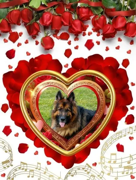 Condolence image of Dzień Dobry❤️❤️❤️mój Ukochany❤️❤️❤️❤️❤️❤️❤️Misieńku❤️❤️❤️