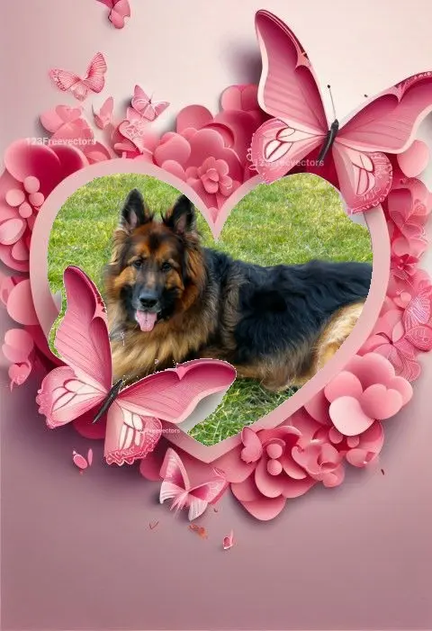 Condolence image of Dzień Dobry❤️❤️❤️mój Ukochany❤️❤️❤️❤️❤️❤️❤️Misieńku❤️❤️❤️