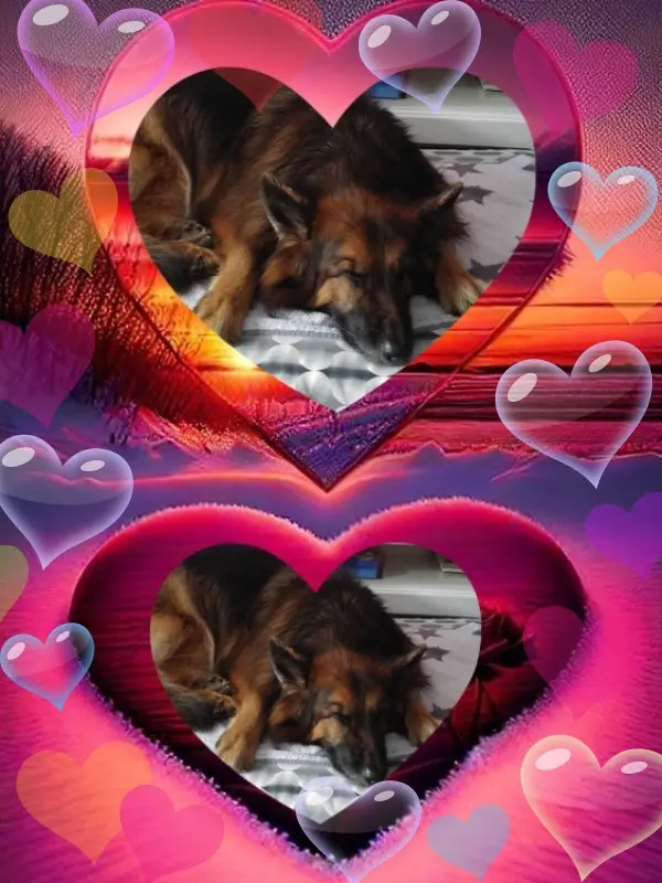 Condolence image of Dobrej Nocki❤️❤️❤️❤️❤️❤️mój Ukochany❤️❤️❤️❤️❤️❤️Misieńku❤️❤️❤️