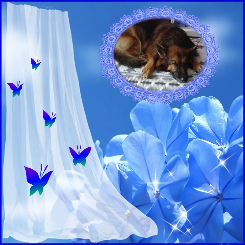 Condolence image of Dobrej Nocki❤️❤️❤️❤️❤️❤️mój Ukochany❤️❤️❤️❤️❤️❤️Misieńku❤️❤️❤️