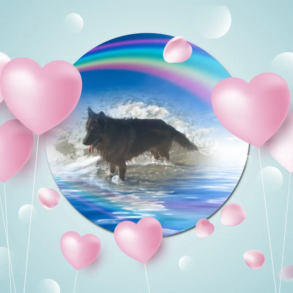 Condolence image of Dzień Dobry❤️❤️❤️mój Ukochany❤️❤️❤️❤️❤️❤️❤️Misieńku❤️❤️❤️