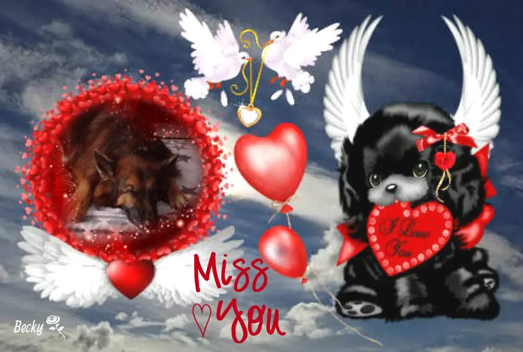 Condolence image of Dobrej Nocki❤️❤️❤️❤️❤️❤️mój Ukochany❤️❤️❤️❤️❤️❤️Misieńku❤️❤️❤️