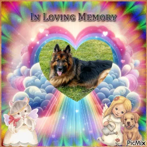 Condolence image of Dzień Dobry❤️❤️❤️mój Ukochany❤️❤️❤️❤️❤️❤️❤️Misieńku❤️❤️❤️