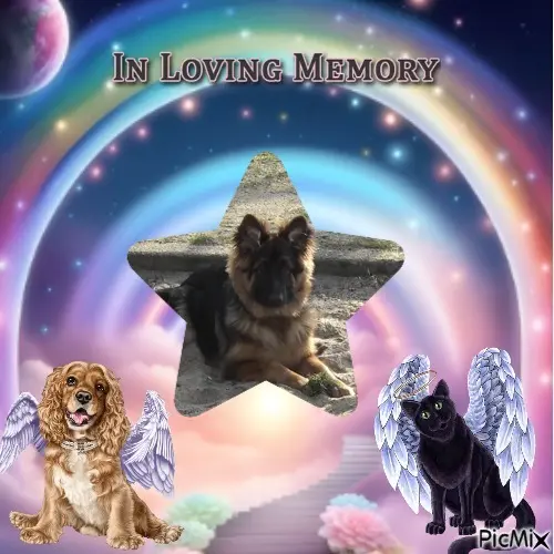 Condolence image of Kocham❤️❤️❤️❤️❤️❤️❤️Cię❤️❤️❤️⭐️Misieńku❤️❤️❤️⭐️