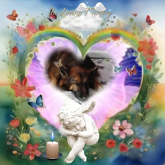 Condolence image of Dobrej Nocki❤️❤️❤️❤️❤️❤️mój Ukochany❤️❤️❤️❤️❤️❤️Misieńku❤️❤️❤️