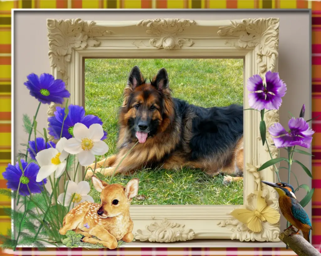 Condolence image of Dzień Dobry❤️❤️❤️mój Ukochany❤️❤️❤️❤️❤️❤️❤️Misieńku❤️❤️❤️